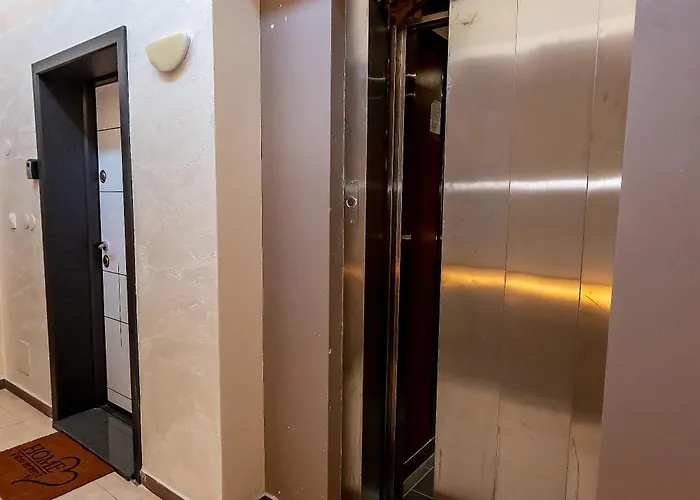 Elena סנדנסקי